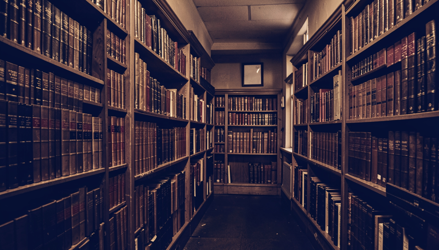 A dimly lit university library interior with rows of leather-bound books in deep brown and burgundy, warm amber light pooling across wooden shelves, rendered as a hard two-tone duotone in navy and cream.